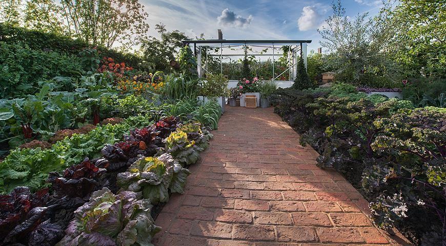 Potager – dekoracyjny ogród użytkowy